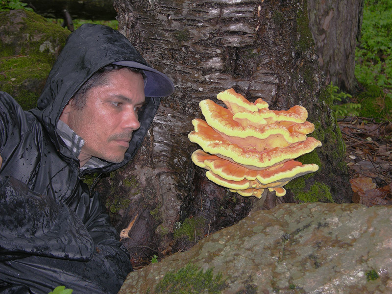 Scende la pioggia.....ma si va...